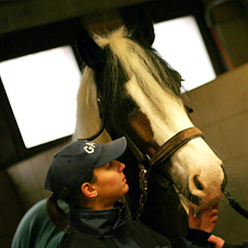 Visite à l'Escorte Royale de la police belge - Février 2011