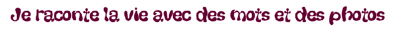 Je raconte la vie avec des mots et des photos